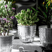 self-watering flowerpot, view 6 - MRSLM