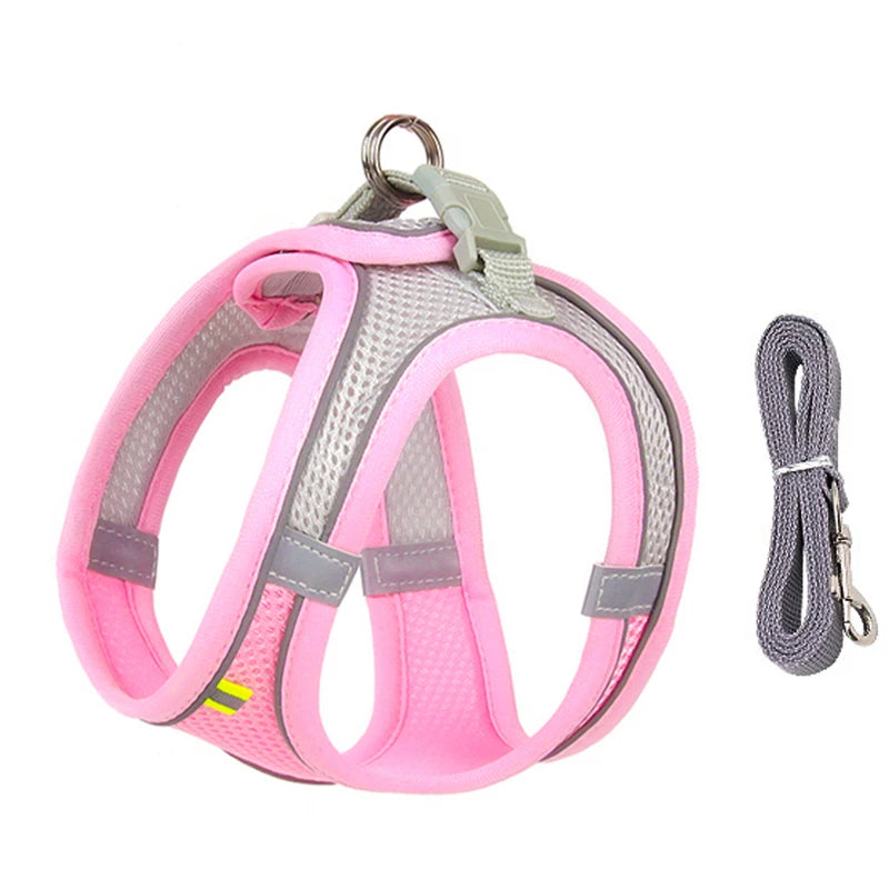 mesh harness and leash set, view 2 - MRSLM