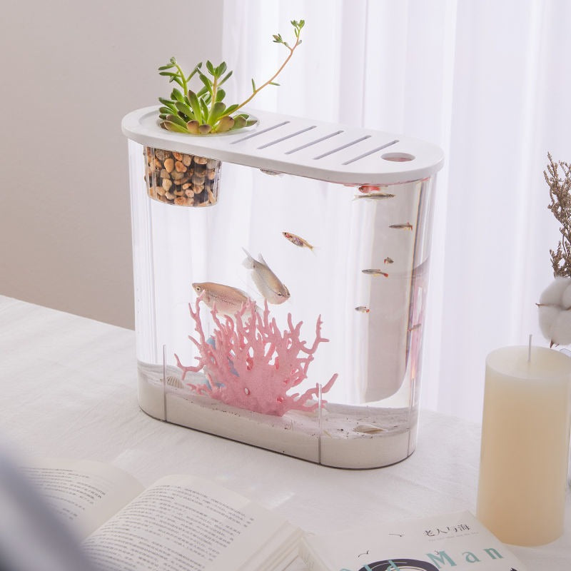 Transparent plastic goldfish tank, view 7 - MRSLM