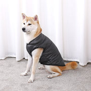cozy winter dog jacket, view 6 - MRSLM