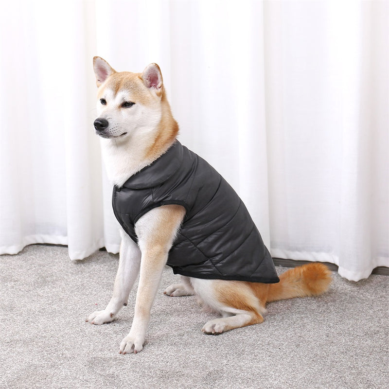 cozy winter dog jacket, view 6 - MRSLM