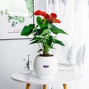 handmade self-watering planter, view 5 - MRSLM