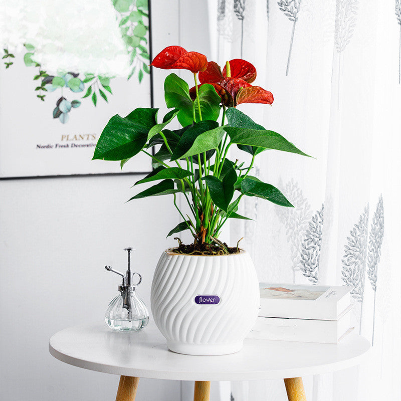 handmade self-watering planter, view 5 - MRSLM
