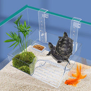 wall-mounted turtle basking platform - MRSLM