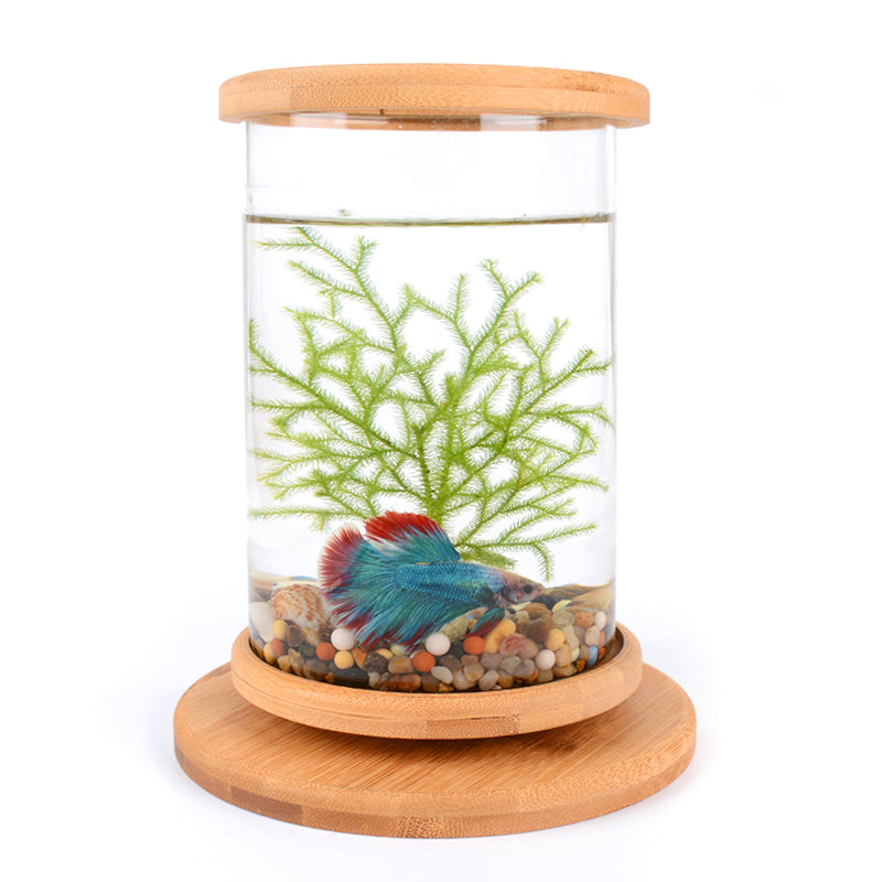 rotatable mini fish tank, view 3 - MRSLM