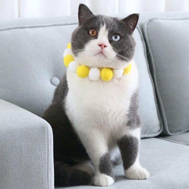 soft plush pet necklace collar - MRSLM