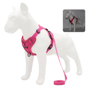 no-pull dog harness and leash set, view 12 - MRSLM