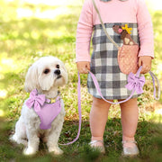 Adjustable mesh dog harness and leash set with bowknot, view 6 - MRSLM