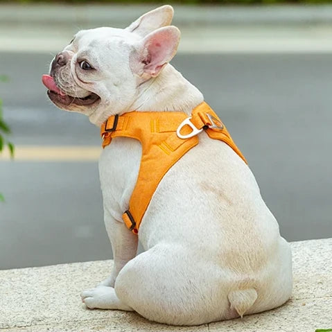 eco-friendly adjustable no-pull pet harness - MRSLM