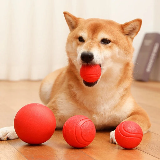 Rubber bite-resistant dog training ball - MRSLM