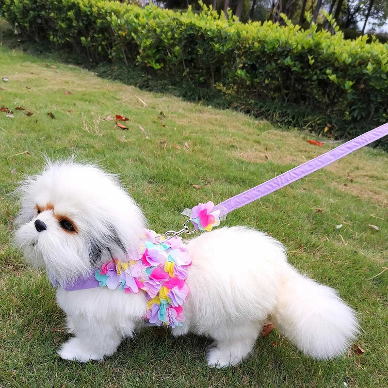 floral dog harness and leash set, view 5 - MRSLM