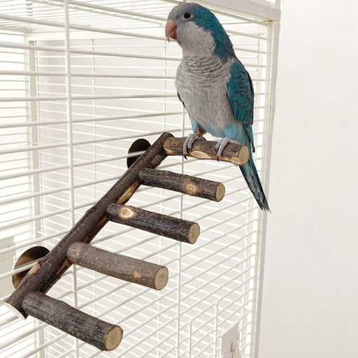 apple wood bird perch and chew toy - MRSLM