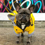 waterproof raincoat for medium and large dogs, view 4 - MRSLM