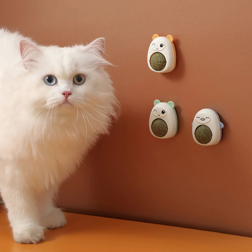 catnip wall ball toy for cats - MRSLM