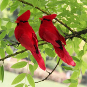 simulation feather birds with clips - MRSLM