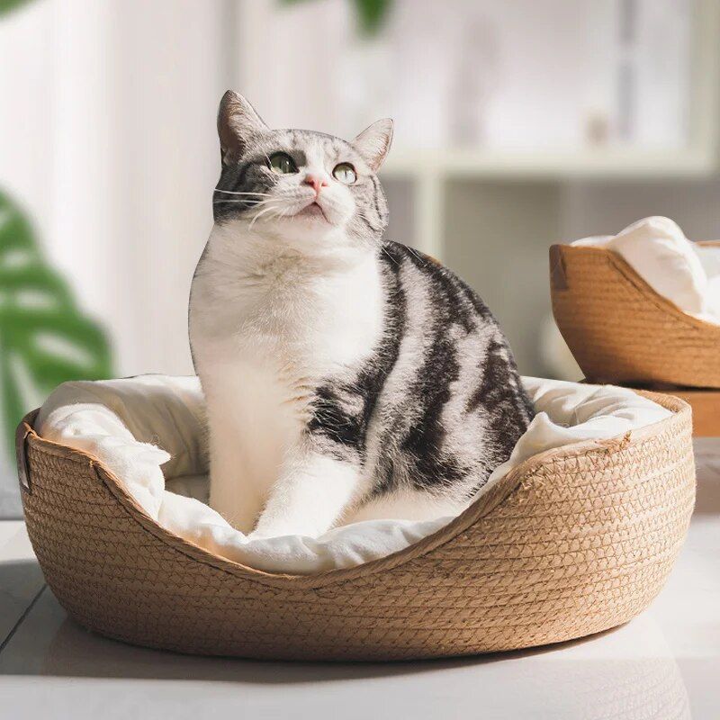 Handwoven cat nest bed with cushion, view 4 - MRSLM