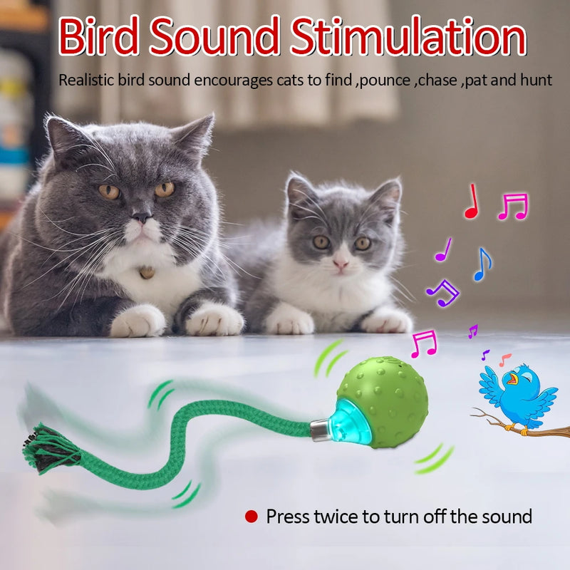 interactive motion-activated cat toy with rolling ball, view 3 - MRSLM