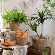 Straw woven plant basket set, view 8 - MRSLM