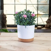 matte plant pots with drainage, view 5 - MRSLM