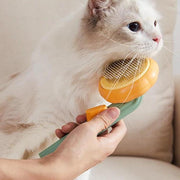 pumpkin pet brush - MRSLM