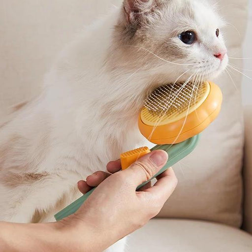 pumpkin pet brush - MRSLM