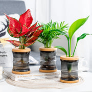 mini hydroponic flower pot, view 6 - MRSLM