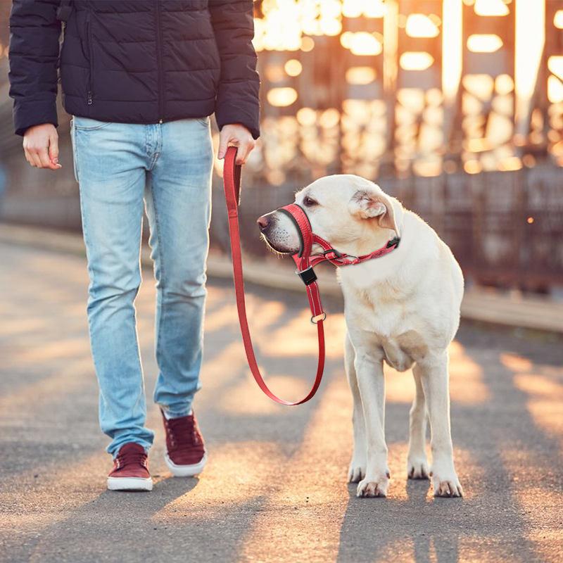 Reflective Nylon Dog Muzzle and Leash Set with Adjustable Fit