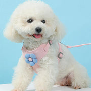 breathable adjustable pet harness and leash set - MRSLM