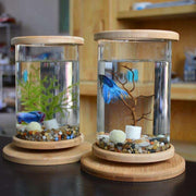 rotatable mini fish tank - MRSLM