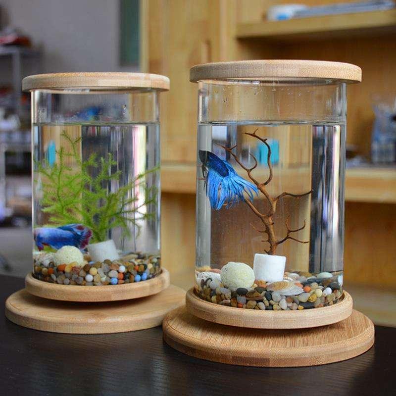 rotatable mini fish tank - MRSLM