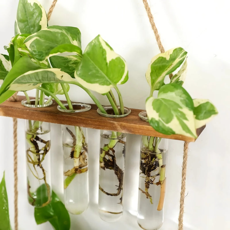 wooden hydroponic wall vase, view 6 - MRSLM