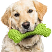 bite-resistant dog chew bone - MRSLM