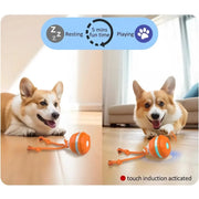 motion-activated rolling dog ball, view 4 - MRSLM