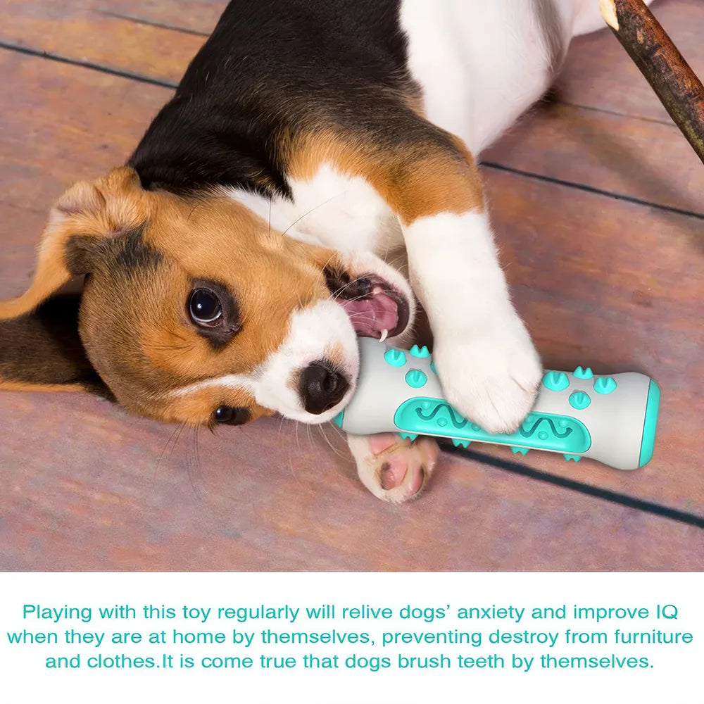 Dog Toothbrush Stick Toy