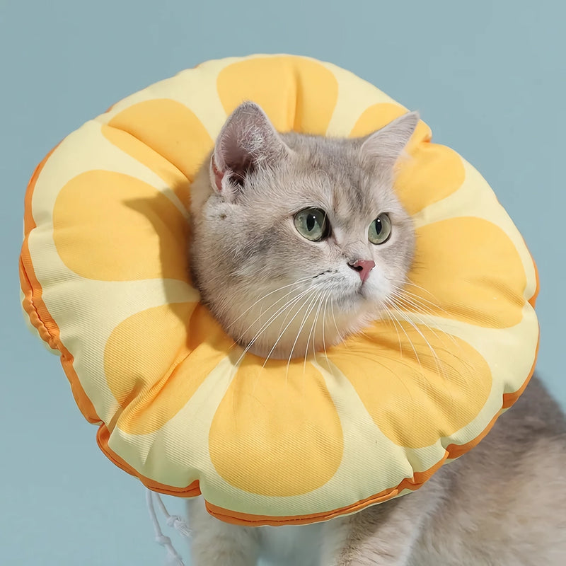 orange fruit neck collar for cats - MRSLM