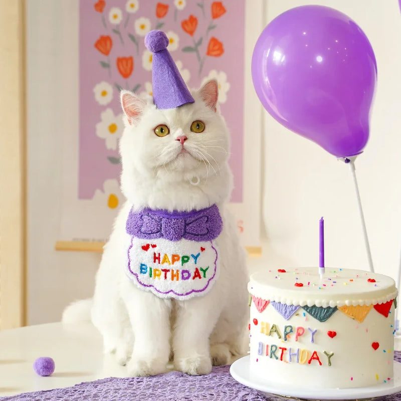 pet birthday bandana and hat set, view 7 - MRSLM