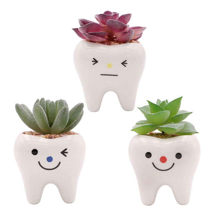 Charming Ceramic Tooth-Shaped Planter for Succulents and Cacti