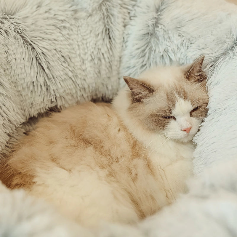 cozy cat tunnel bed, view 5 - MRSLM