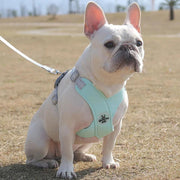 adjustable no-pull dog harness set - MRSLM
