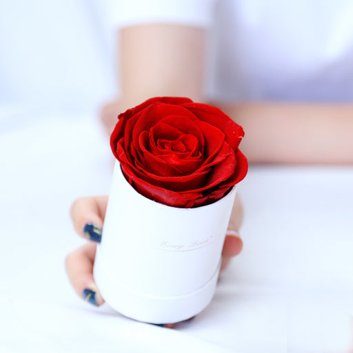 Rose gift with barrel box - MRSLM