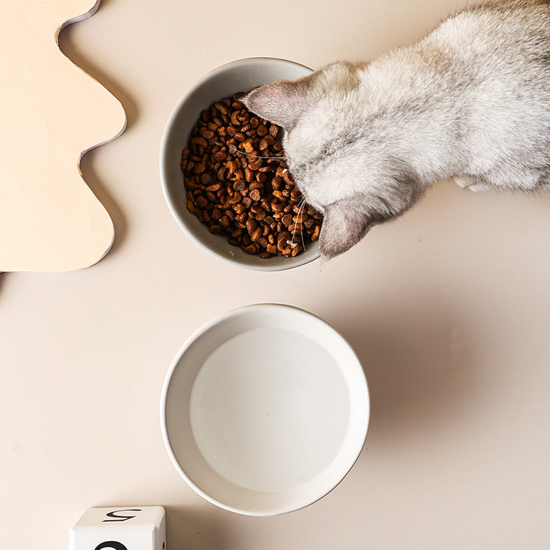 Elevated ceramic cat and small dog bowl, view 6 - MRSLM