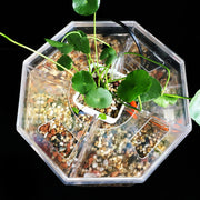 Desktop betta fish tank, view 5 - MRSLM