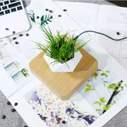 moon levitating plant led light, view 13 - MRSLM