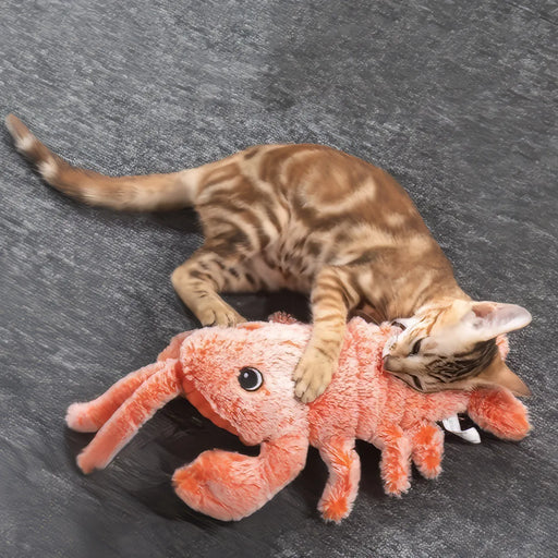 electric lobster cat toy - MRSLM