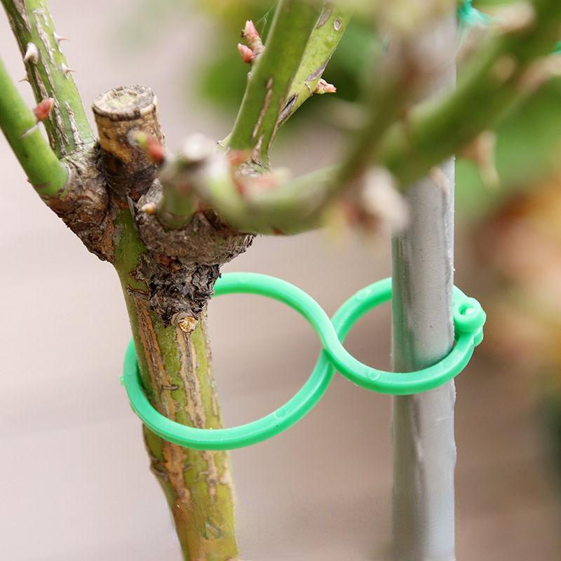 garden vine strapping clips - MRSLM