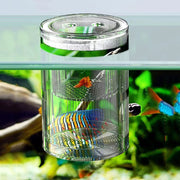 fish breeding isolation box - MRSLM