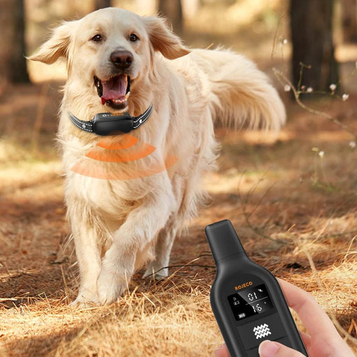 electric dog training collar - MRSLM