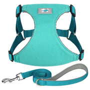 adjustable nylon dog harness and leash set, view 3 - MRSLM