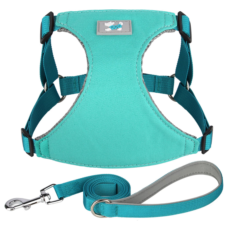 adjustable nylon dog harness and leash set, view 3 - MRSLM
