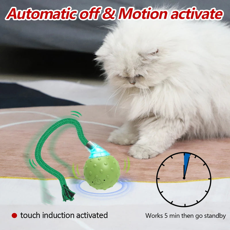 interactive motion-activated cat toy with rolling ball, view 4 - MRSLM